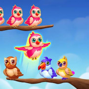 Birds Sort Color Match Puzzle